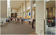 welcome image