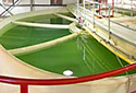 Water Treatment Center