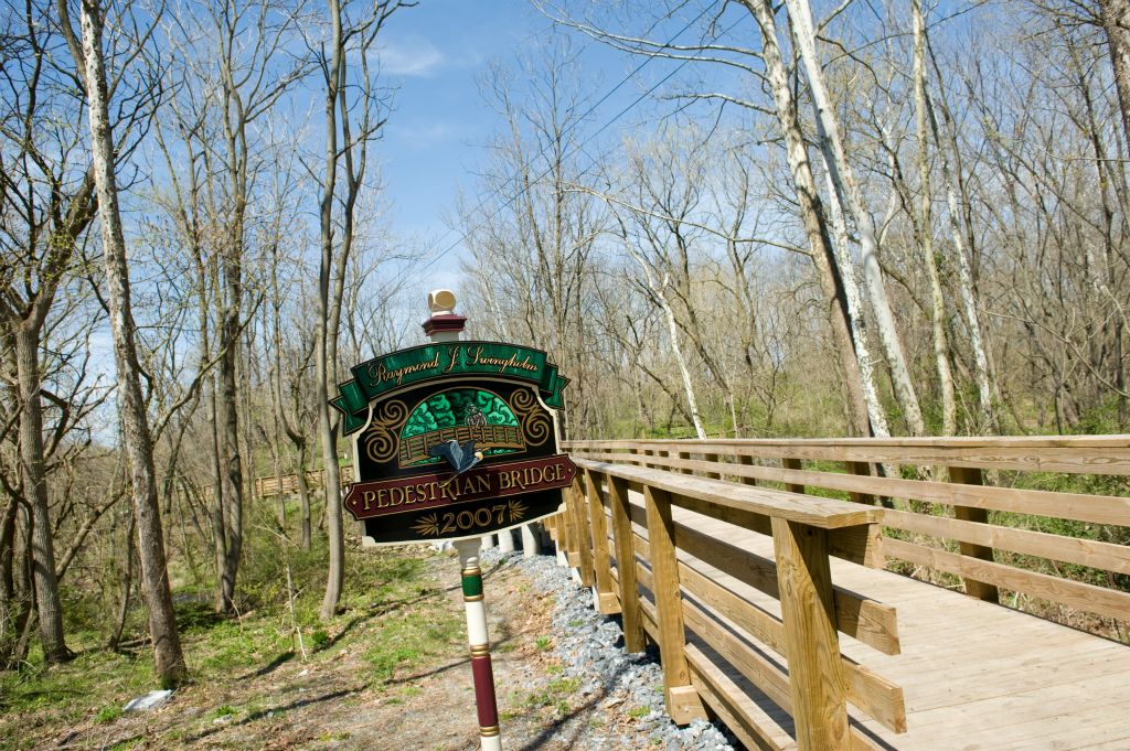 Quittie Creek Nature Park, just a short walk from campus