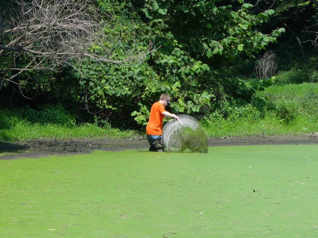 The annual turtle lab is a favorite part of science courses