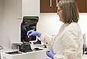 Full-Service Lab