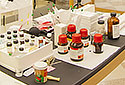 Bullock Science Center Laboratory