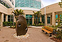 Healing Garden