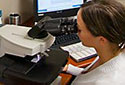 Process of a Test Specimen