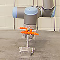Encoded OD RPV Plate Examinations