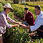 Farm To Table Experience