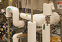 Cell Culture 1