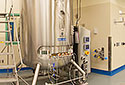 Cell Culture 2