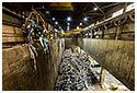 Waste Storage Pit