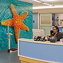ED Nursing Station