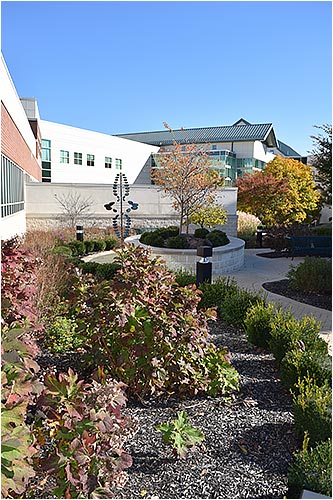 Healing Garden