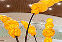 Main Lobby