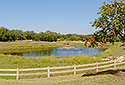 Pond and Dr. Eunice Blair Walking Trail